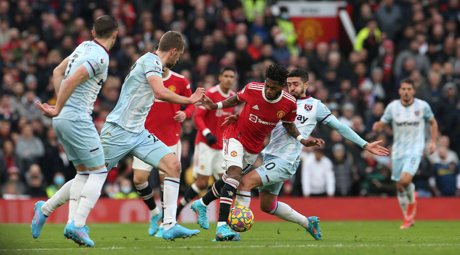 地保护他的 地保护他的