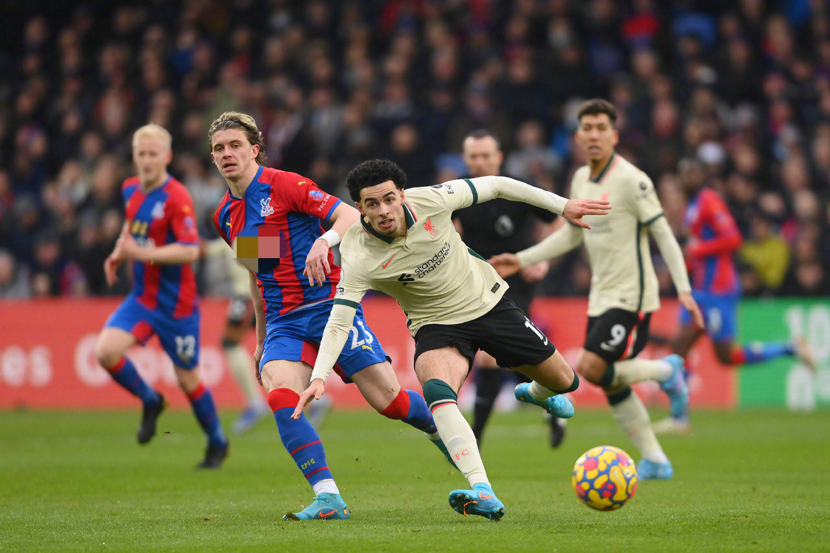 开表示对乌 开表示对乌